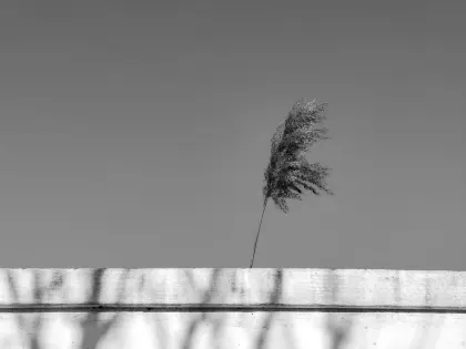 Jazz Casino Mobiilirakendus